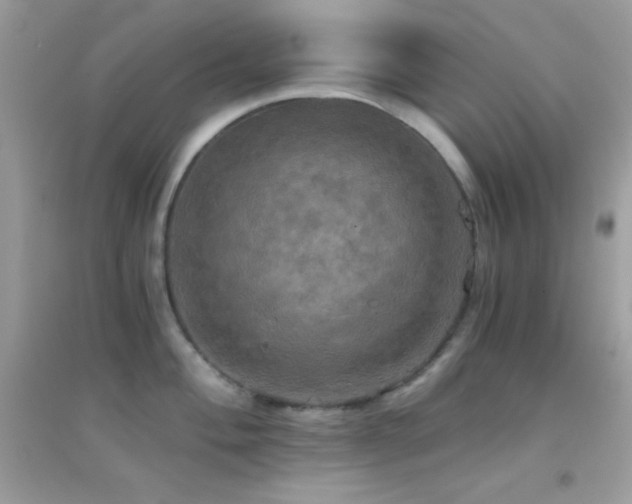 X0000095121004200712071235