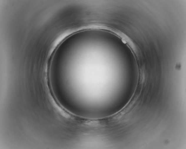 X0000095121006200712071235