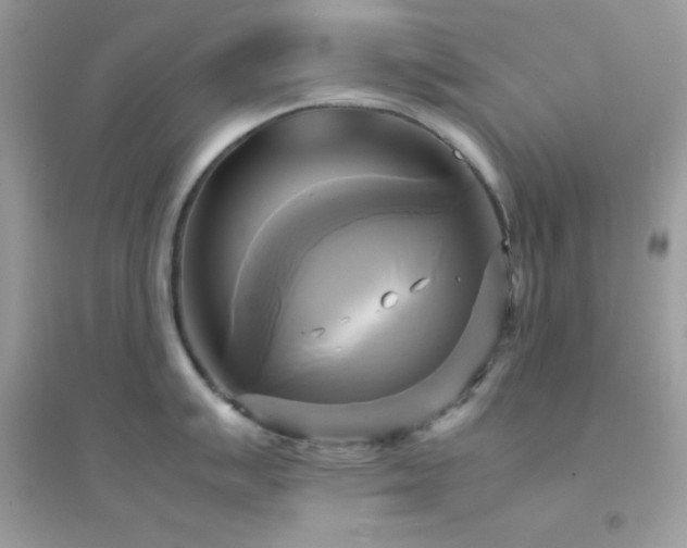 X0000095121007200712071235