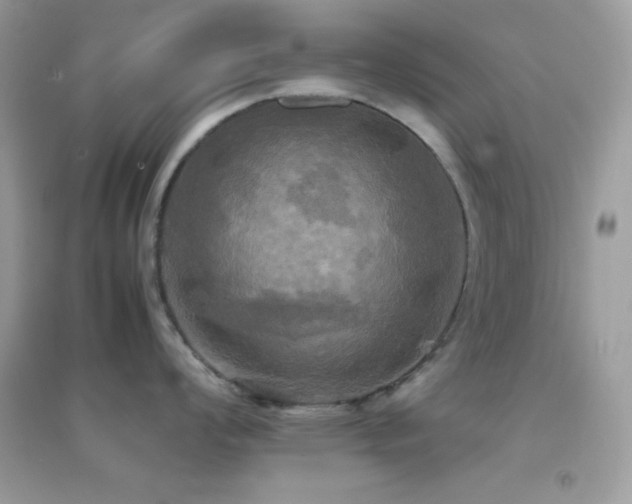X0000095121008200712071235