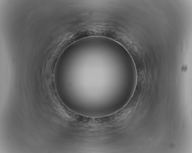 X0000095121009200712071235