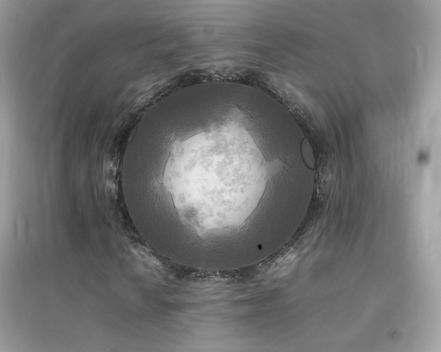 X0000095121010200712071235