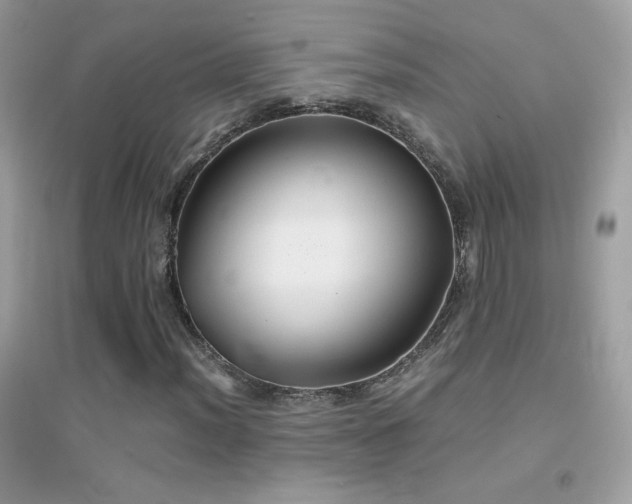 X0000095121012200712071235