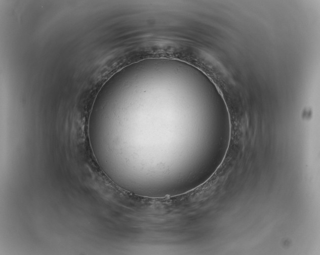 X0000095121013200712071235