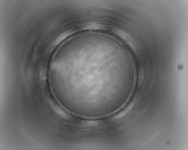 X0000095121017200712071235