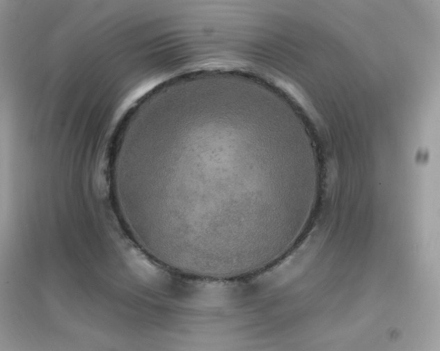 X0000095121018200712071235