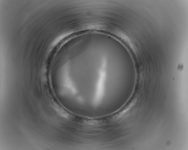 X0000095121019200712071235