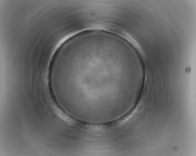 X0000095121020200712071235