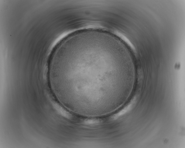 X0000095121021200712071235