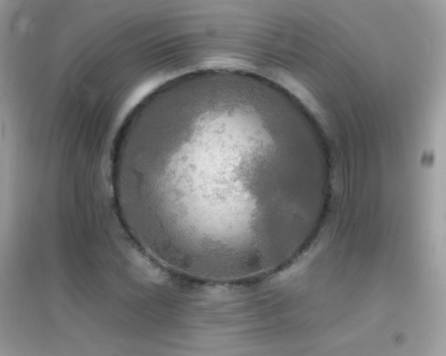 X0000095121022200712071235