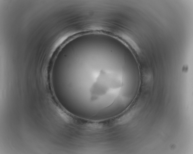 X0000095121023200712071235
