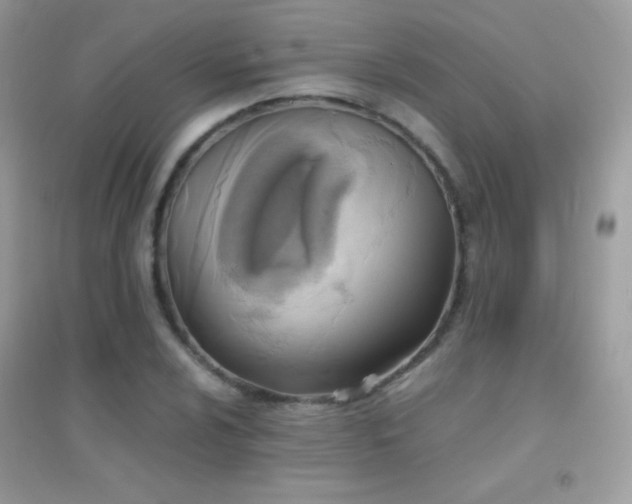 X0000095121024200712071235