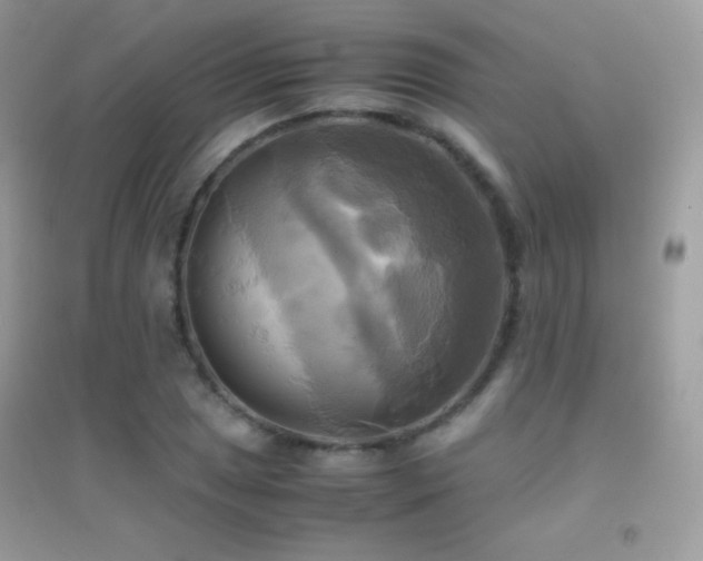 X0000095121025200712071235