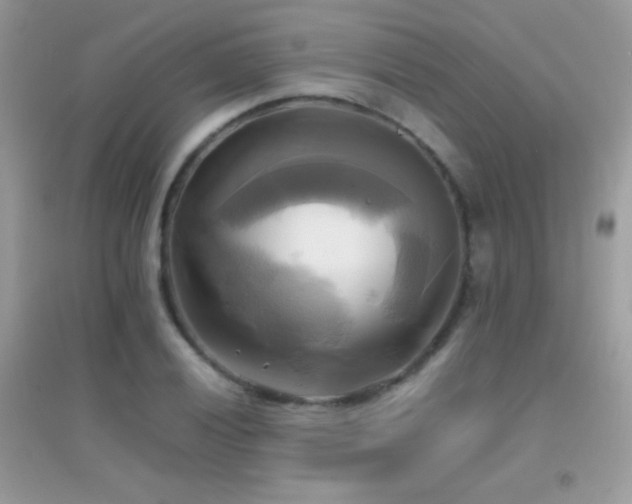 X0000095121028200712071235