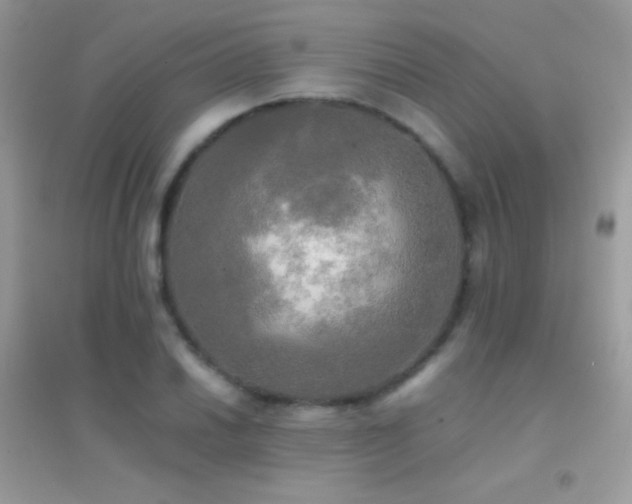 X0000095121030200712071235