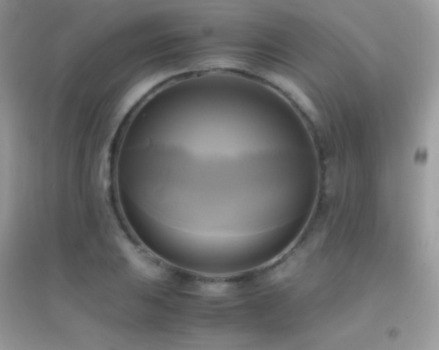 X0000095121031200712071235