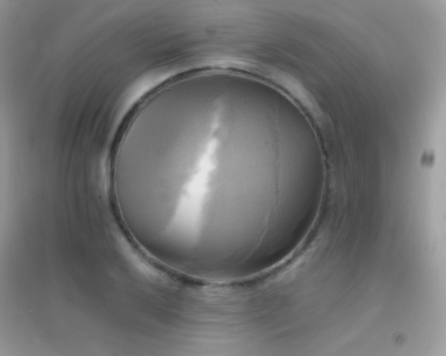 X0000095121032200712071235