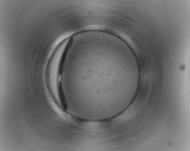 X0000095121034200712071235