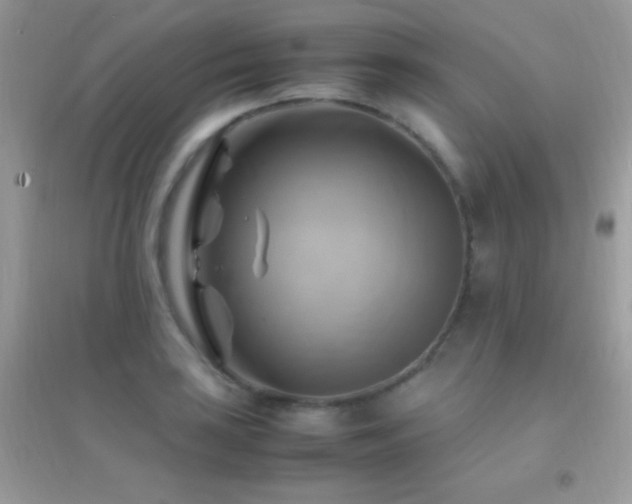 X0000095121035200712071235