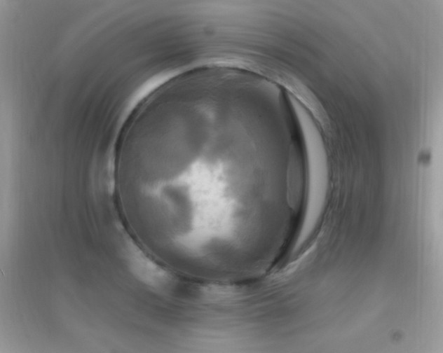 X0000095121036200712071235