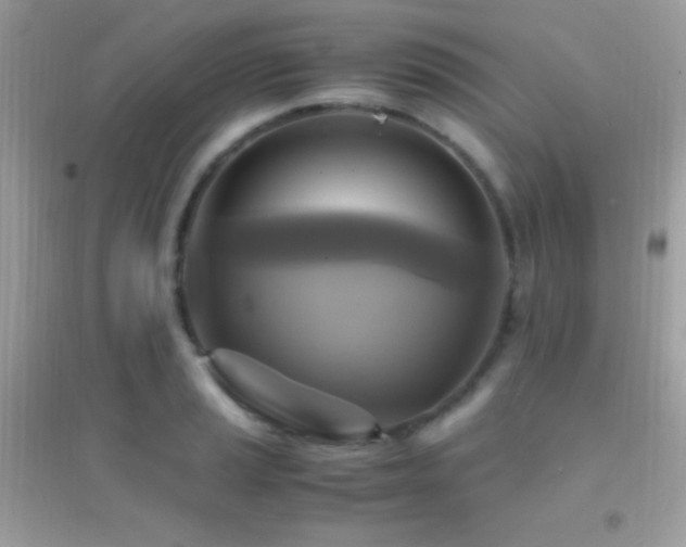 X0000095121037200712071235