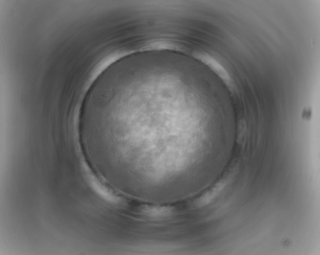 X0000095121039200712071235