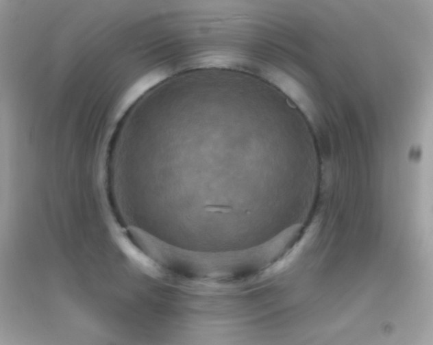 X0000095121042200712071235