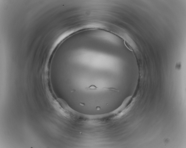 X0000095121044200712071235