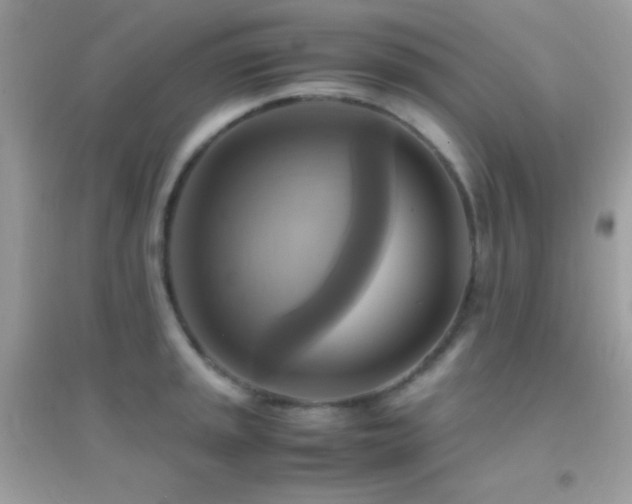 X0000095121045200712071235