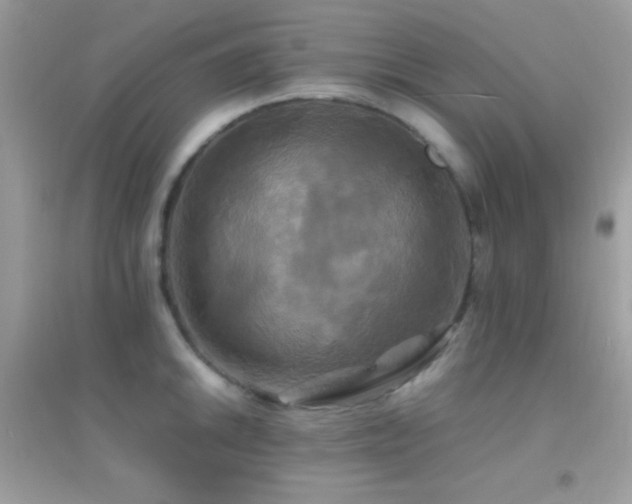 X0000095121046200712071235