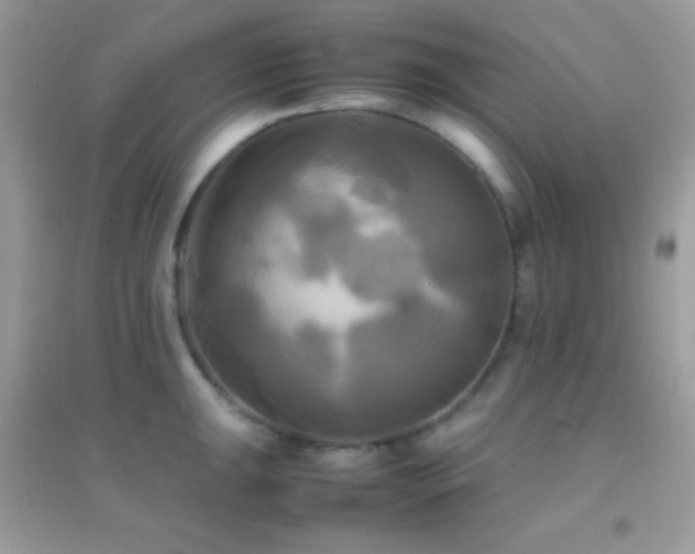 X0000095121047200712071235