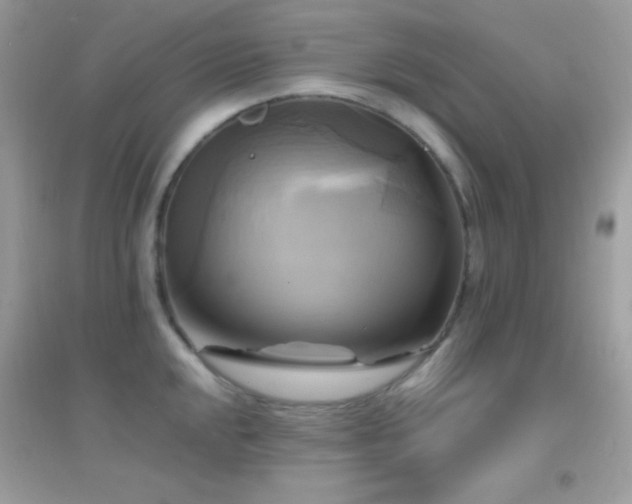 X0000095121048200712071235