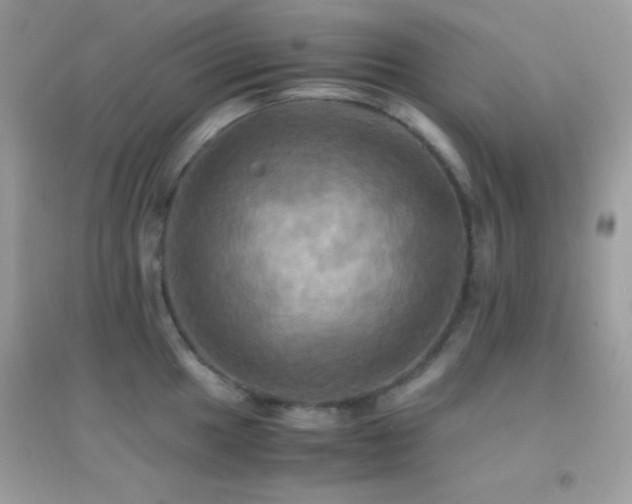 X0000095121049200712071235