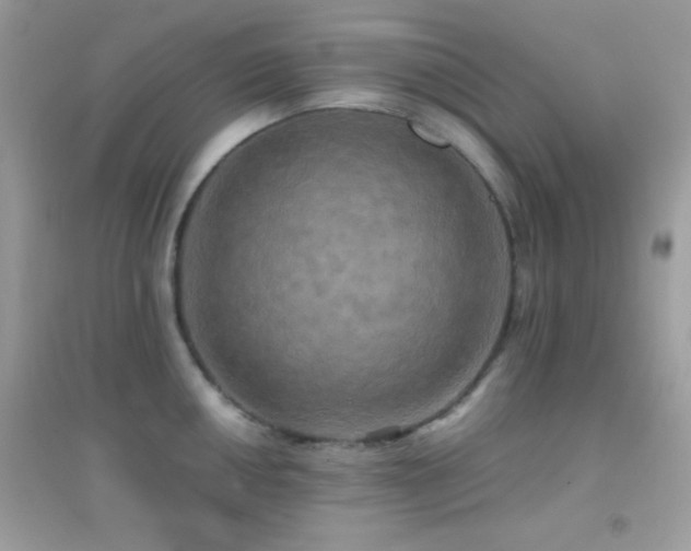 X0000095121050200712071235
