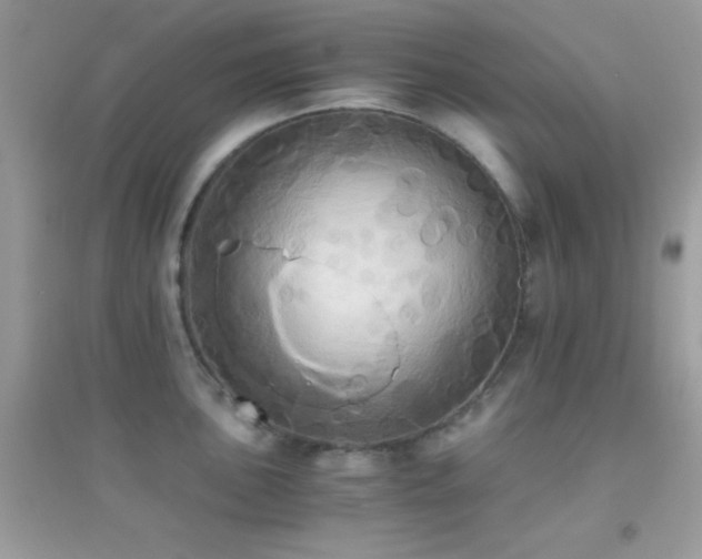 X0000095121051200712071235