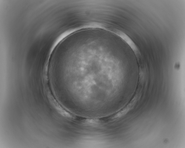 X0000095121052200712071235
