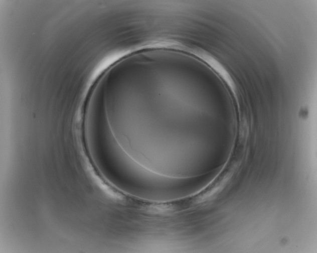 X0000095121053200712071235