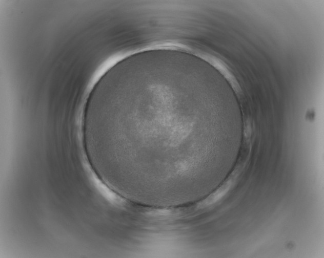X0000095121054200712071235
