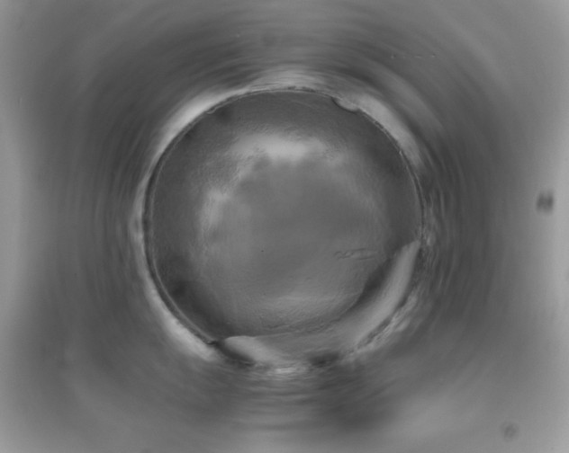 X0000095121055200712071235