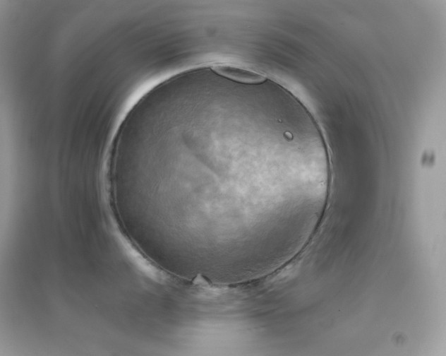 X0000095121056200712071235