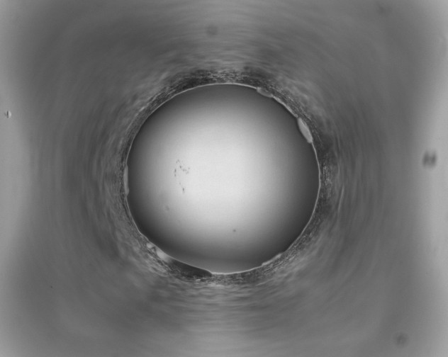 X0000095121057200712071235