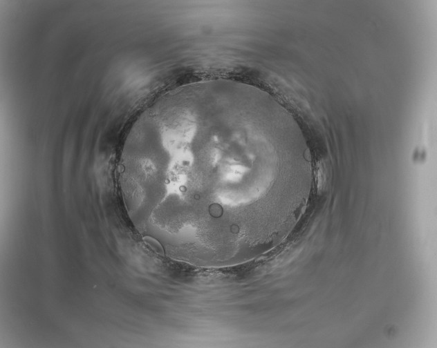 X0000095121059200712071235
