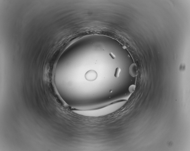 X0000095121060200712071235