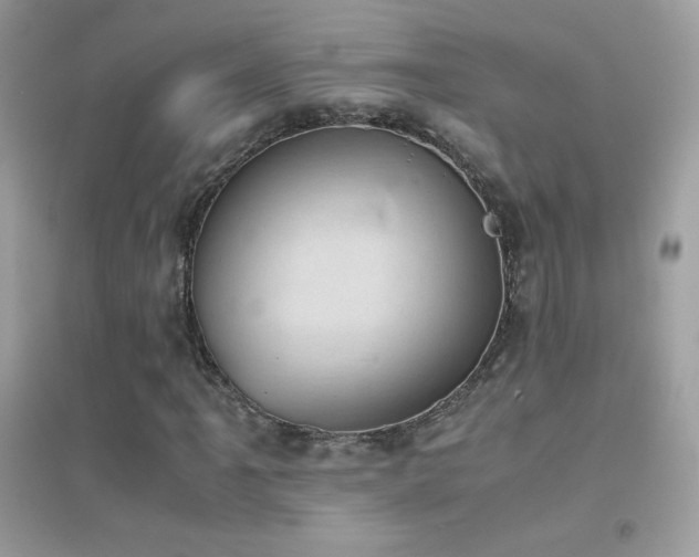 X0000095121061200712071235