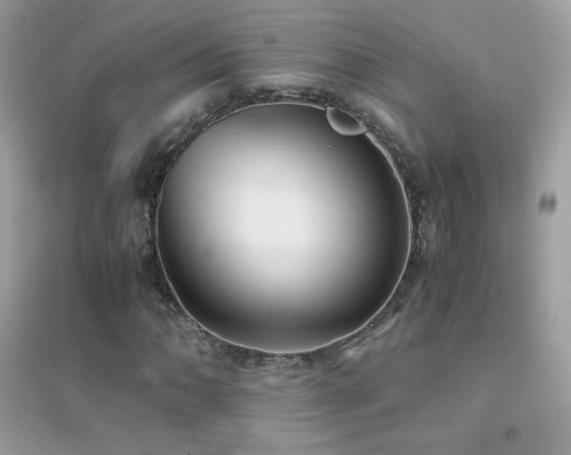 X0000095121062200712071235
