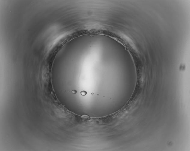 X0000095121063200712071235