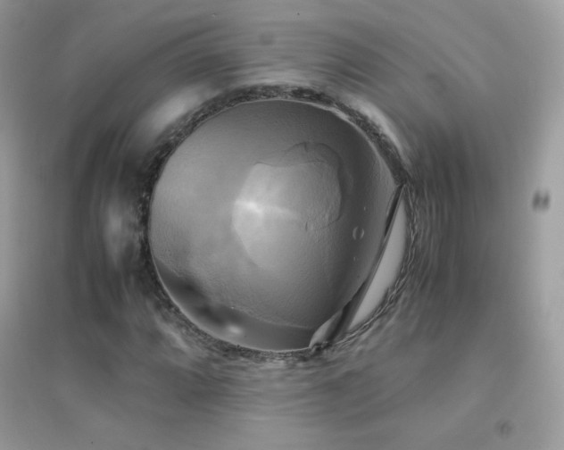 X0000095121064200712071235