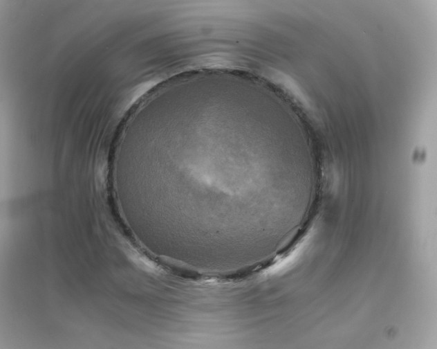 X0000095121065200712071235