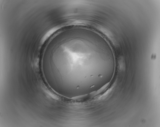 X0000095121066200712071235