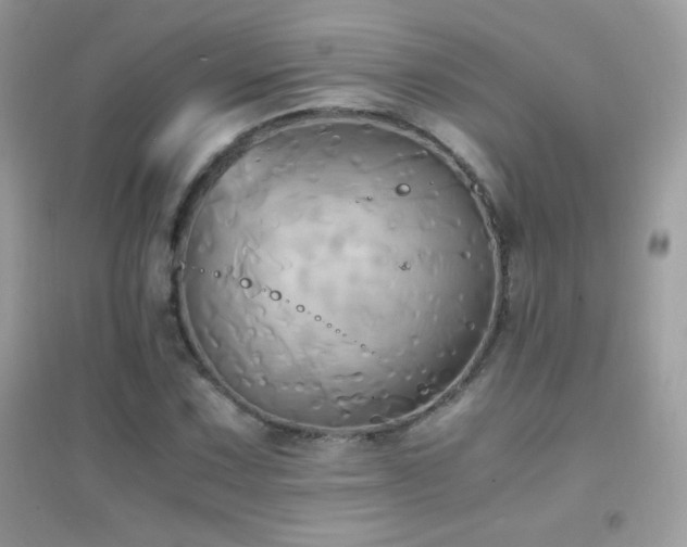 X0000095121067200712071235